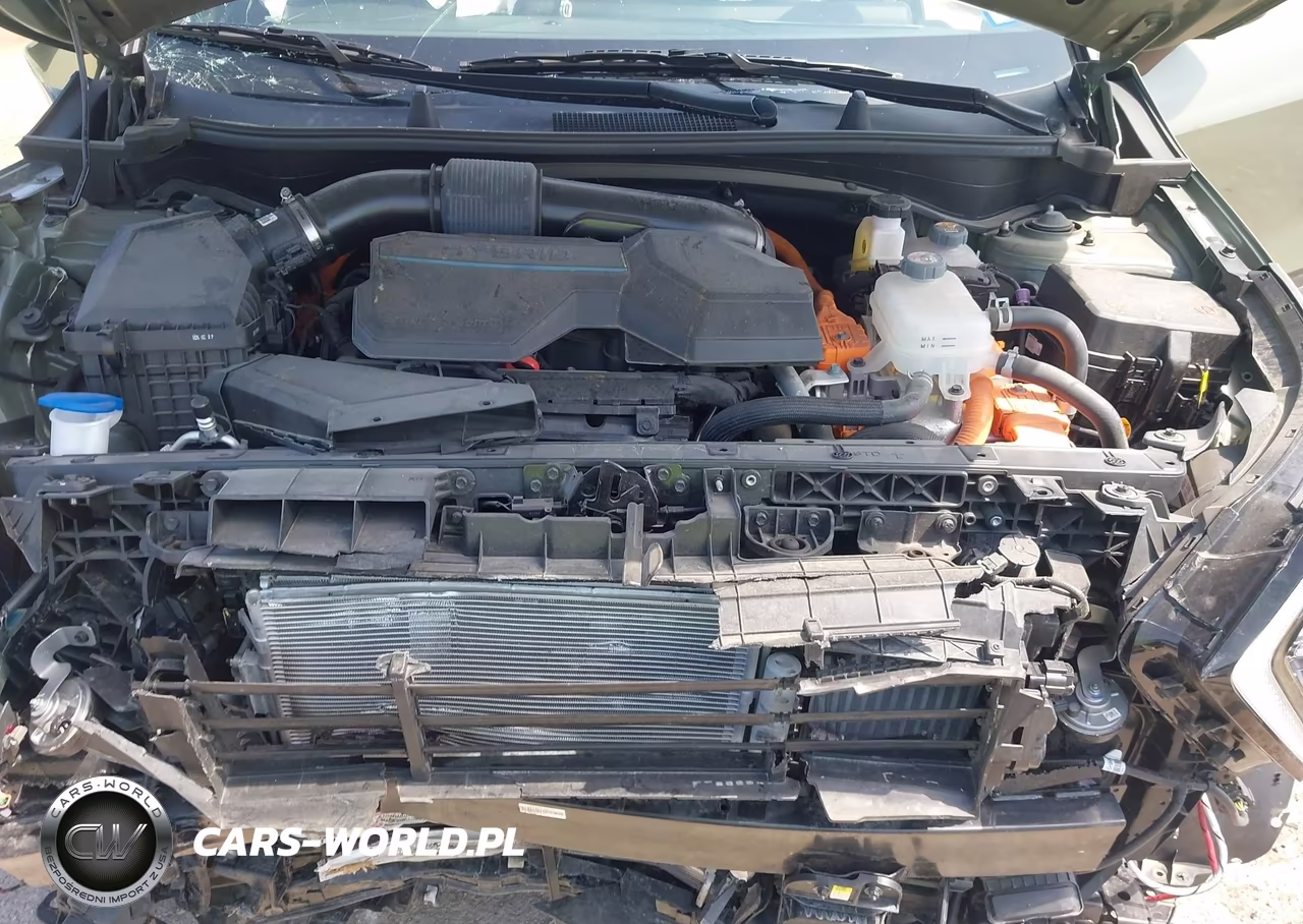 2024 Kia Sportage Plug-In Hybrid X-Line VIN:KNDPYDDH5R7145229 - 10