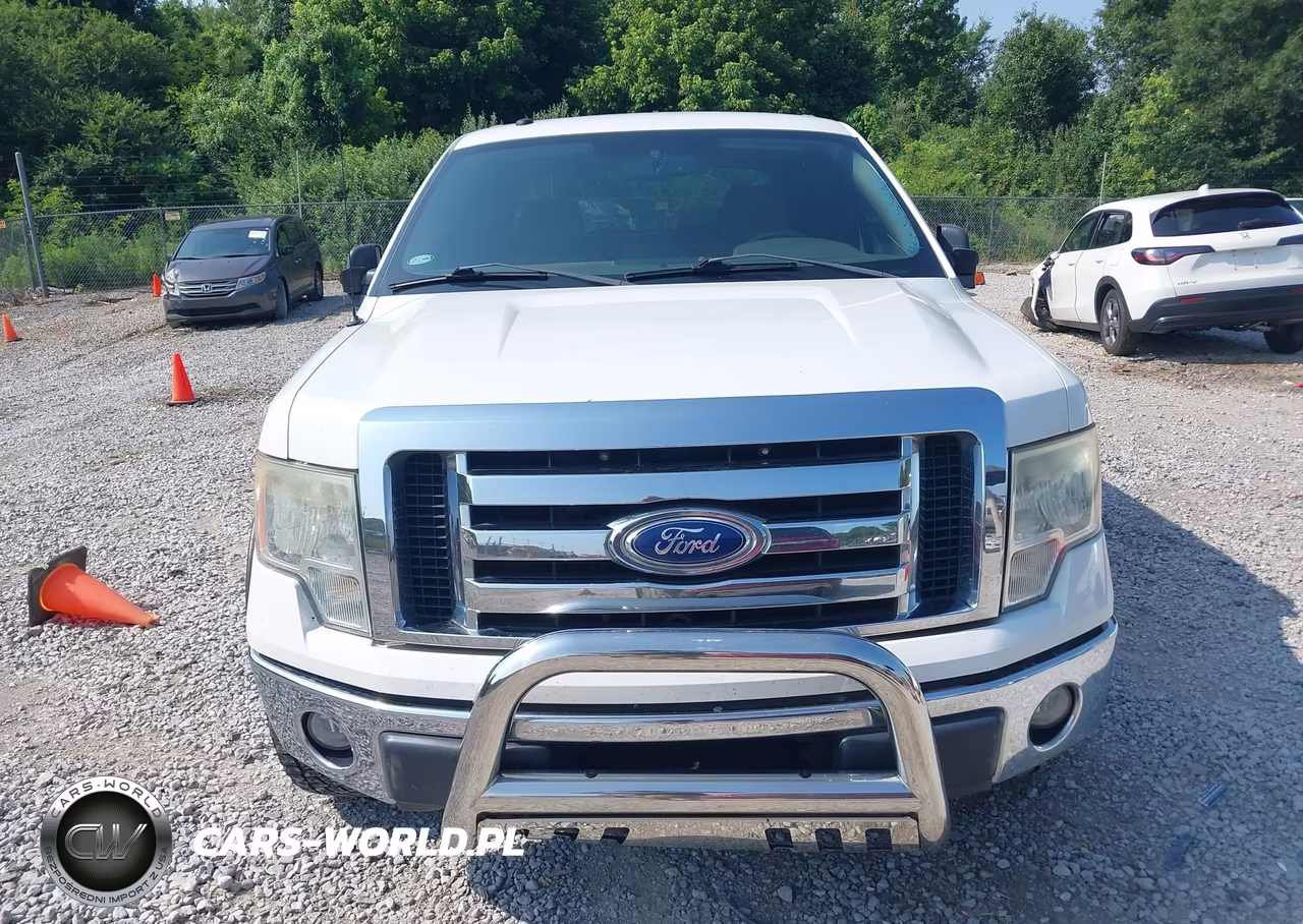 2009 Ford F-150 King Ranch-Lariat-Platinum-Xl-Xlt VIN:1FTPW12V29KB65965 - 12