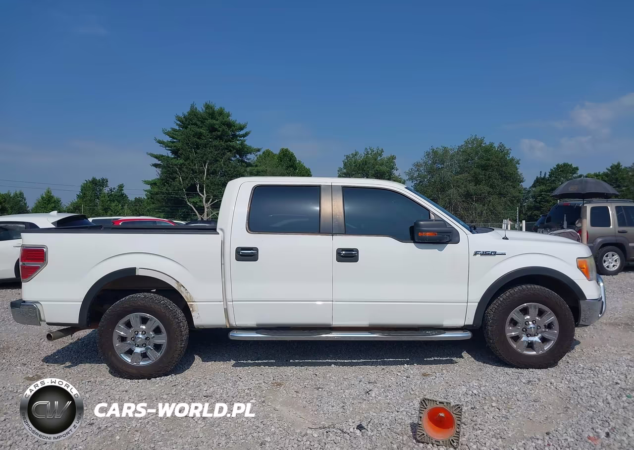 2009 Ford F-150 King Ranch-Lariat-Platinum-Xl-Xlt VIN:1FTPW12V29KB65965 - 13