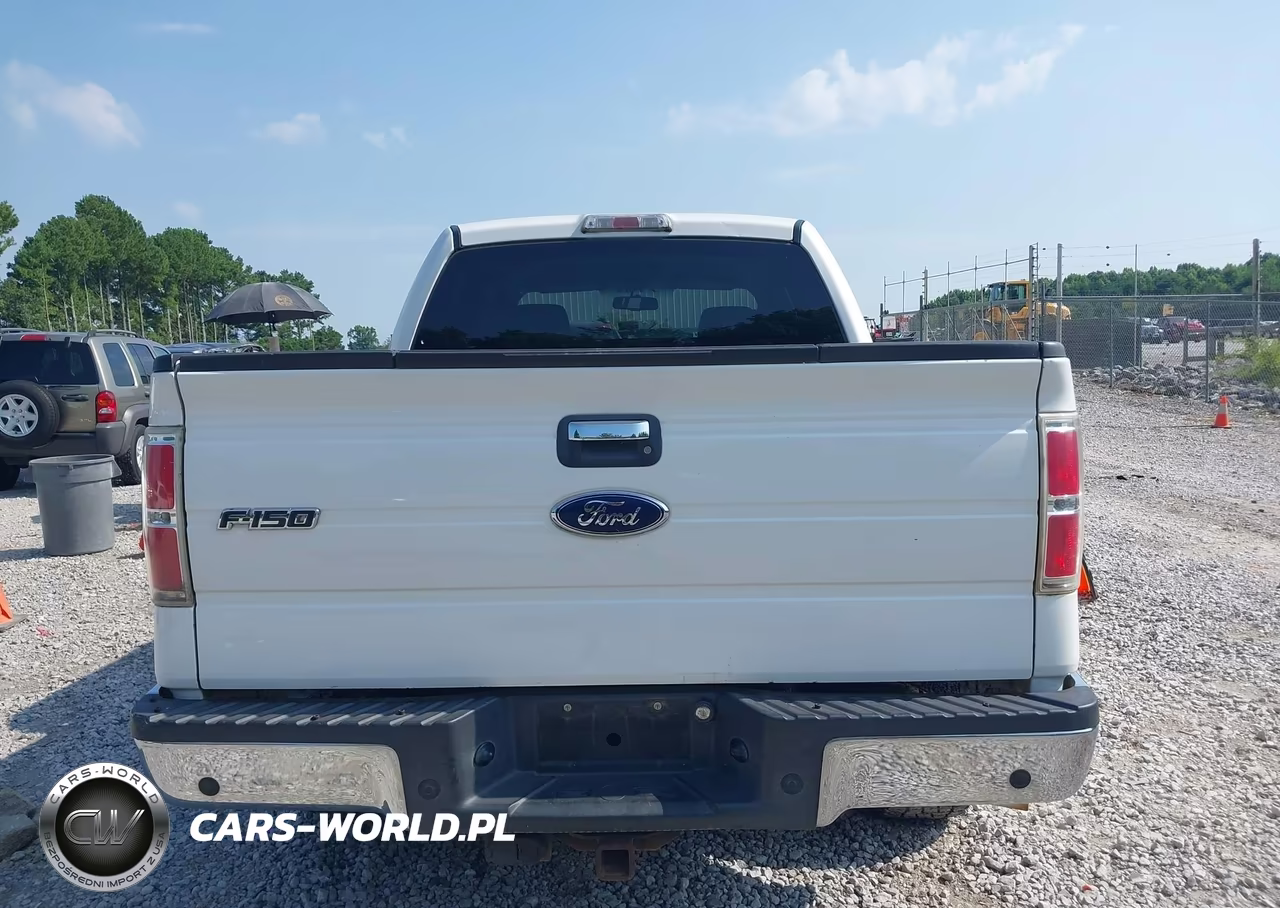 2009 Ford F-150 King Ranch-Lariat-Platinum-Xl-Xlt VIN:1FTPW12V29KB65965 - 16