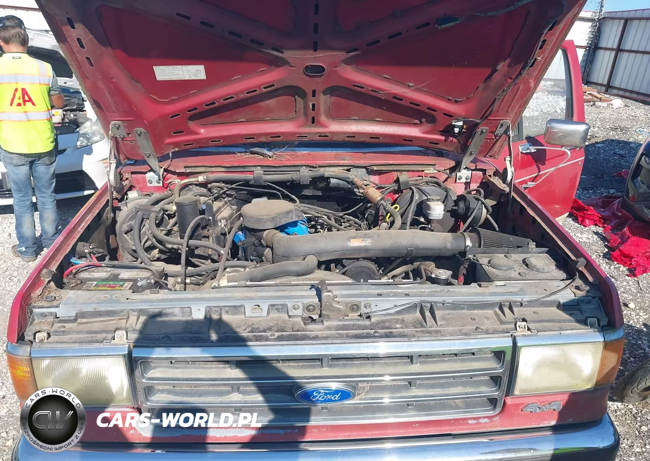 1990 Ford Bronco U100 VIN:1FMEU15H9LLB34504 - 10