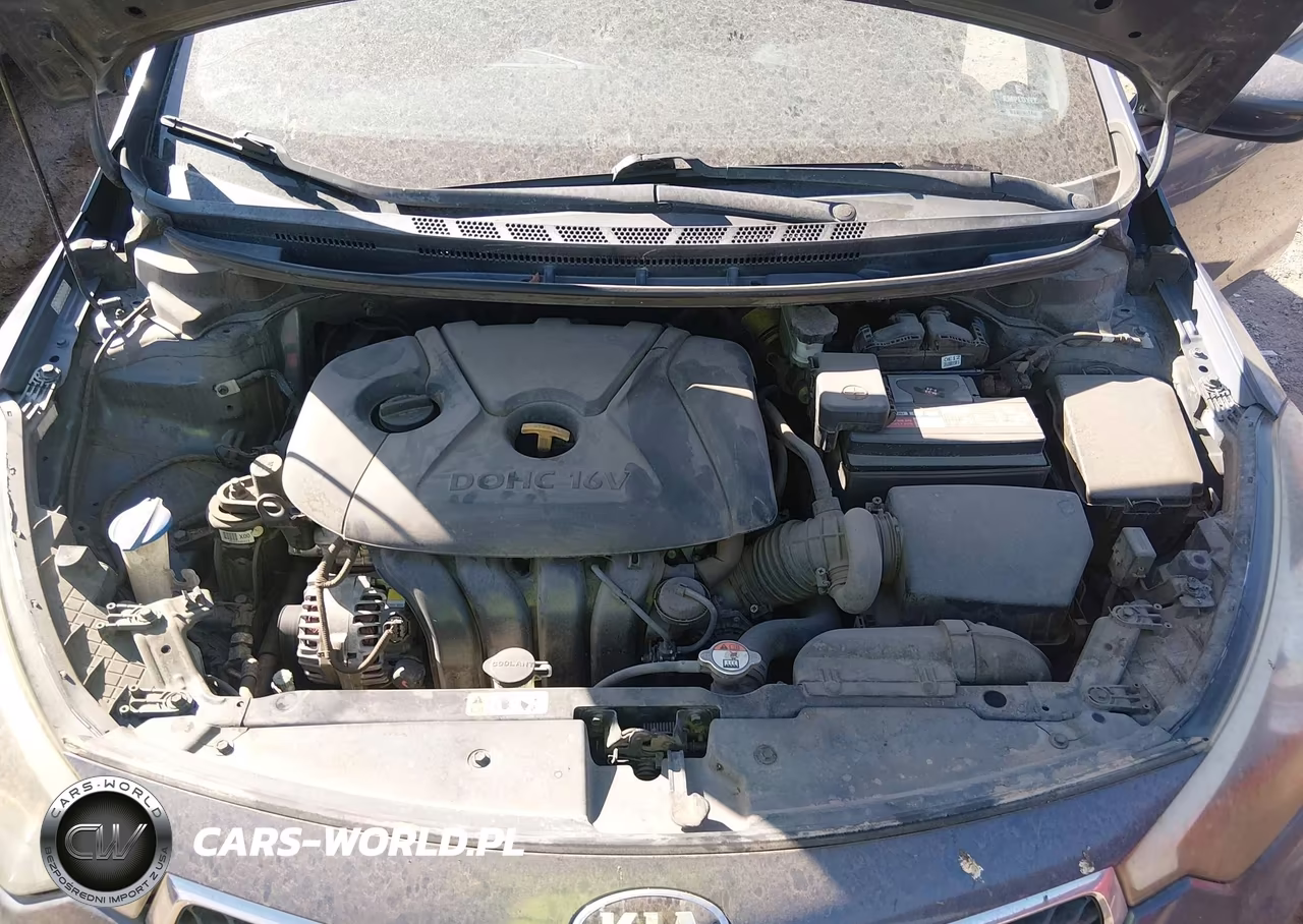 2016 Kia Forte Lx VIN:KNAFK4A64G5549922 - 10