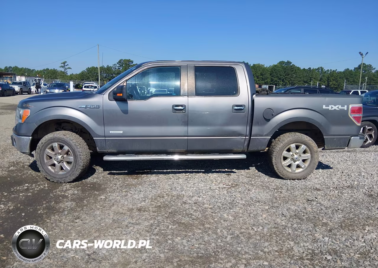 2013 Ford F-150 Fx4-King Ranch-Lariat-Limited-Platinum-Xl-Xlt VIN:1FTFW1ET0DFD61846 - 15