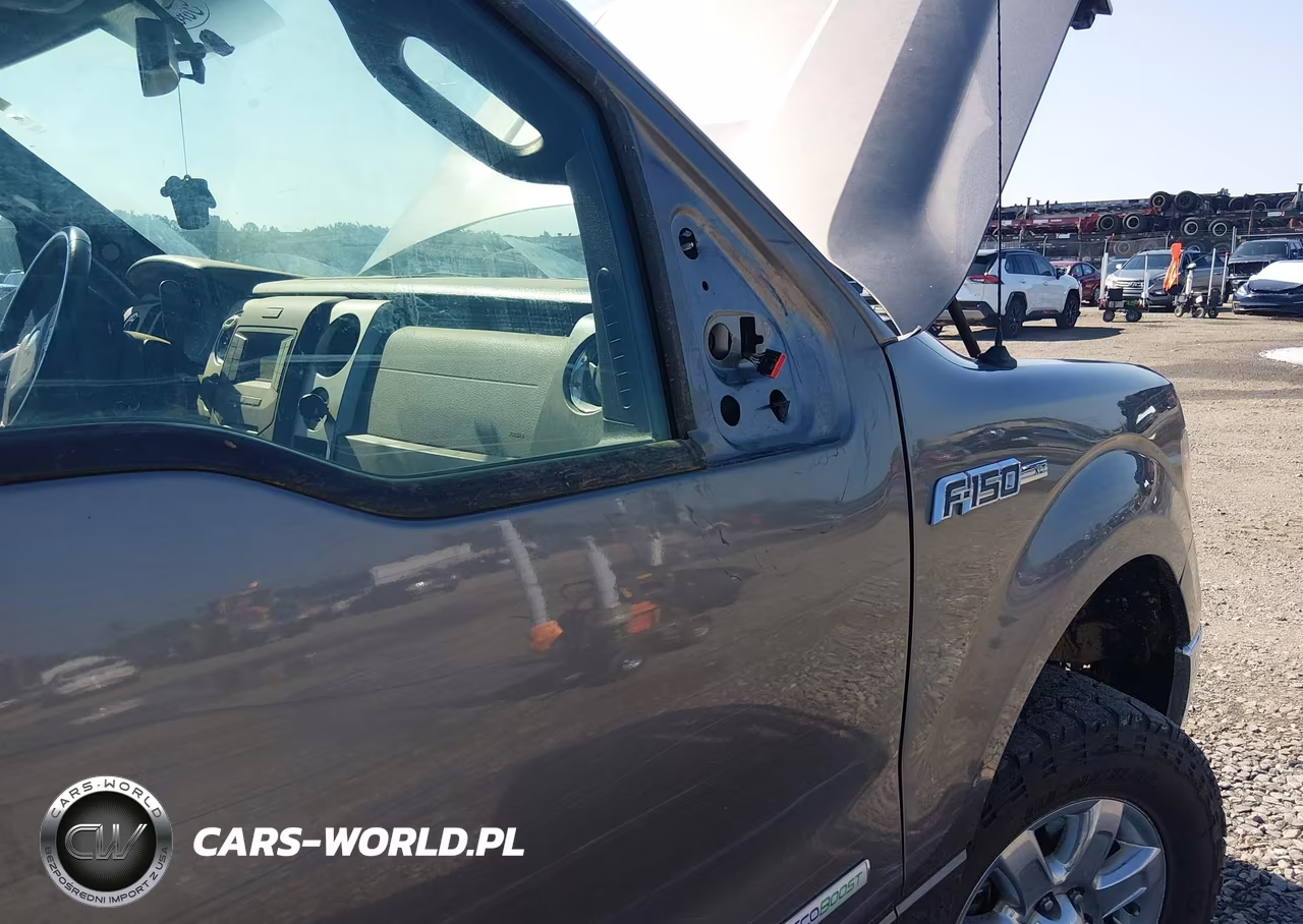 2013 Ford F-150 Fx4-King Ranch-Lariat-Limited-Platinum-Xl-Xlt VIN:1FTFW1ET0DFD61846 - 20