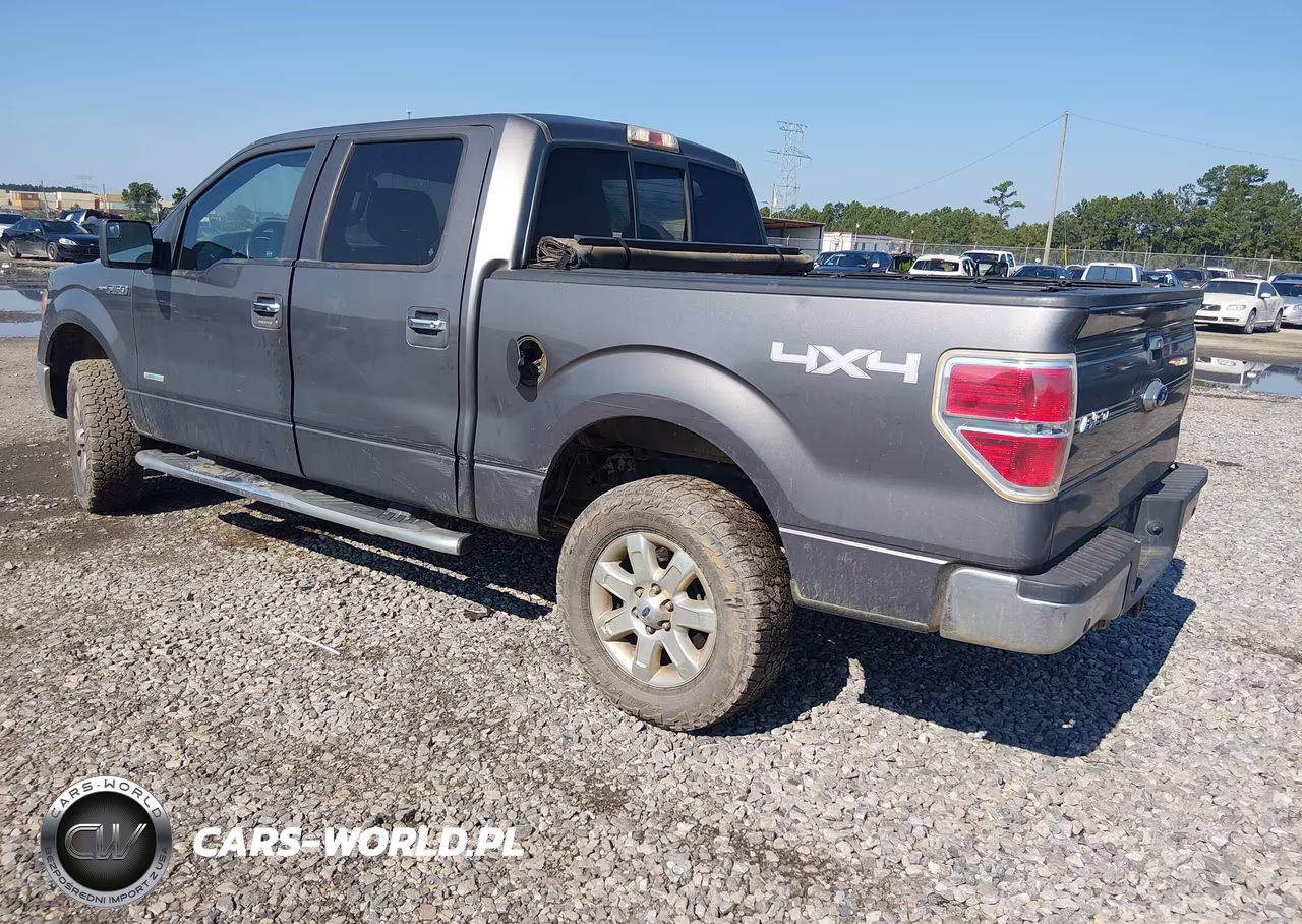2013 Ford F-150 Fx4-King Ranch-Lariat-Limited-Platinum-Xl-Xlt VIN:1FTFW1ET0DFD61846 - 3