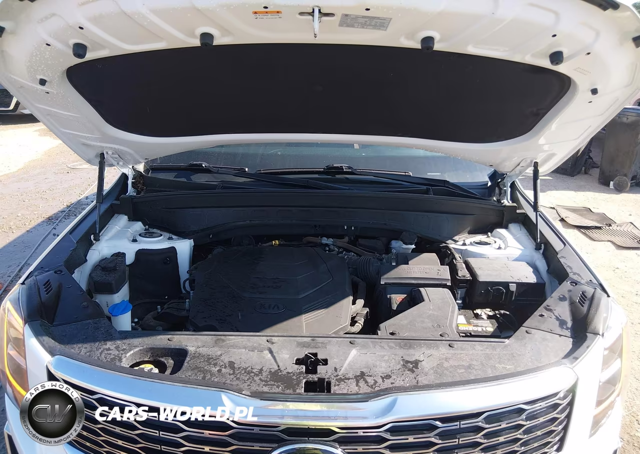 2020 Kia Telluride Sx VIN:5XYP54HC5LG041454 - 10