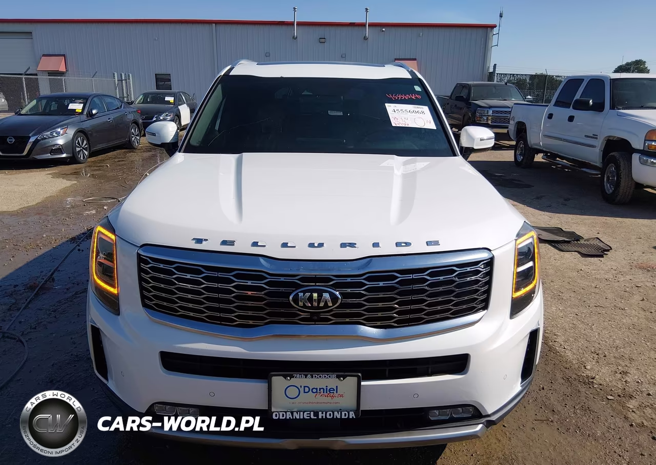 2020 Kia Telluride Sx VIN:5XYP54HC5LG041454 - 12
