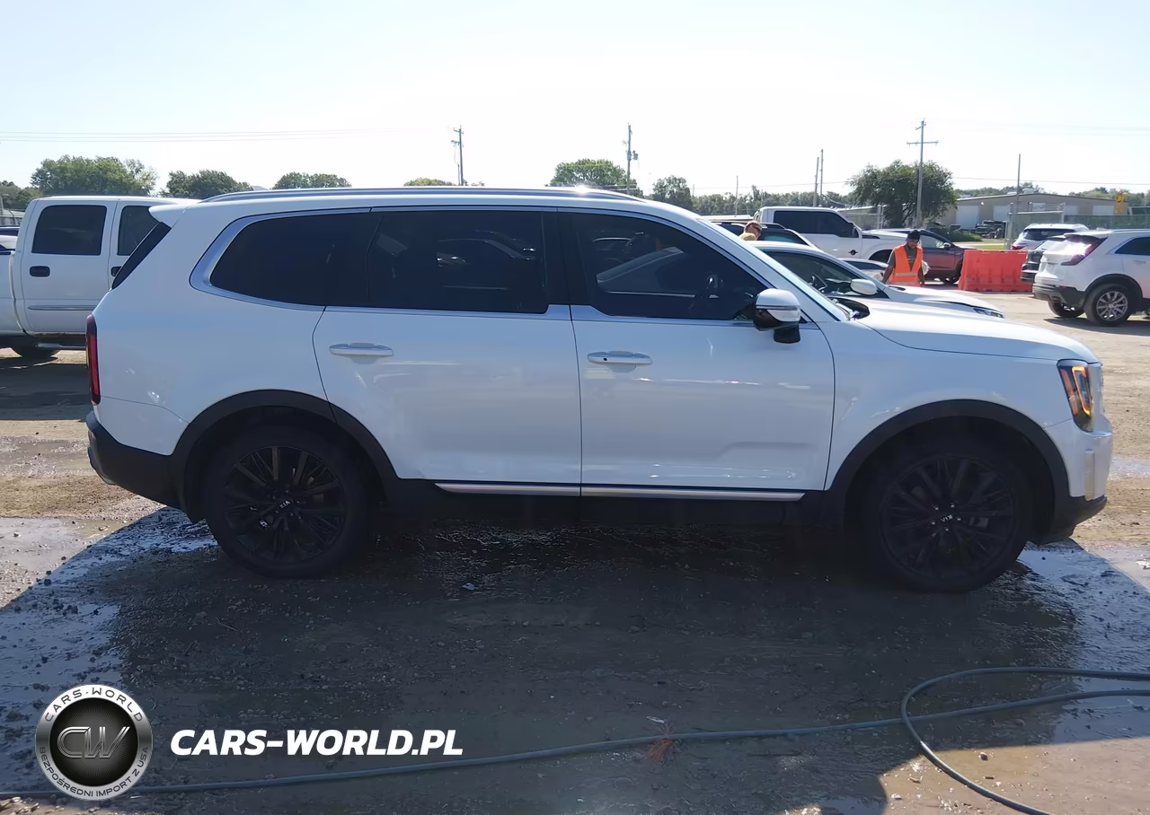 2020 Kia Telluride Sx VIN:5XYP54HC5LG041454 - 13