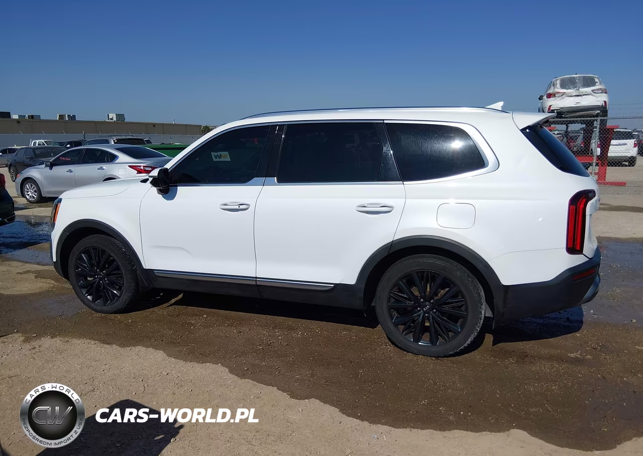 2020 Kia Telluride Sx VIN:5XYP54HC5LG041454 - 14