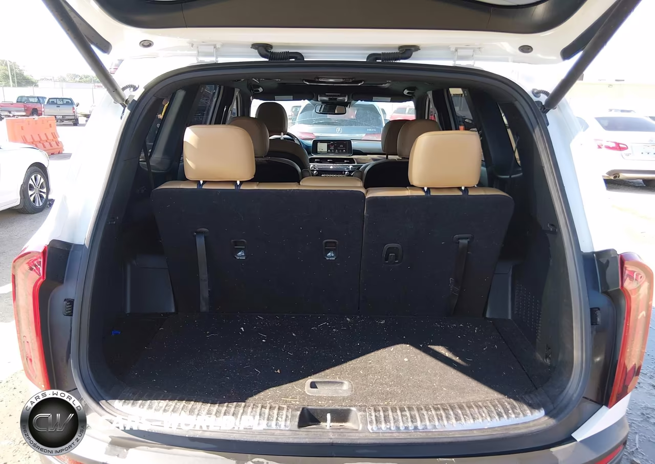 2020 Kia Telluride Sx VIN:5XYP54HC5LG041454 - 16