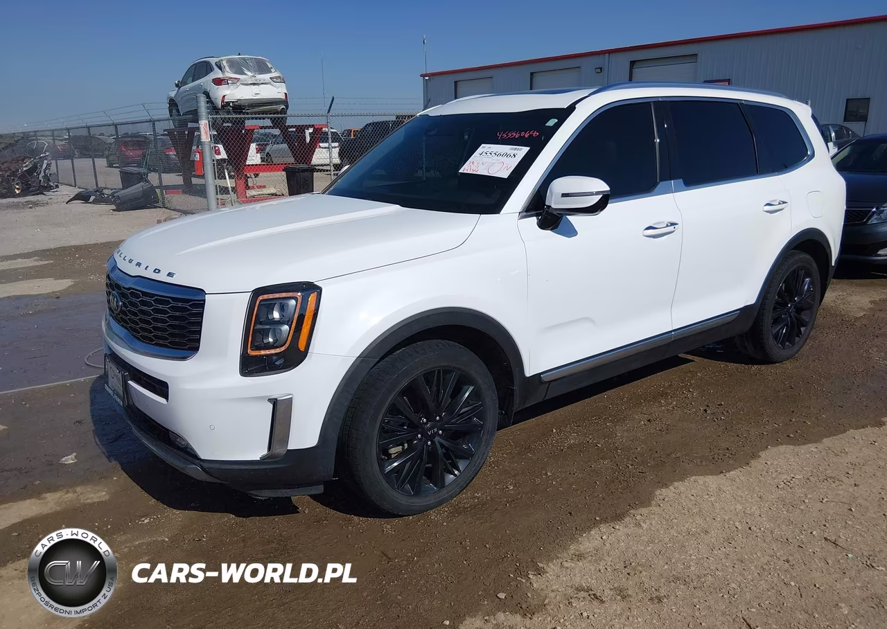 2020 Kia Telluride Sx VIN:5XYP54HC5LG041454 - 2