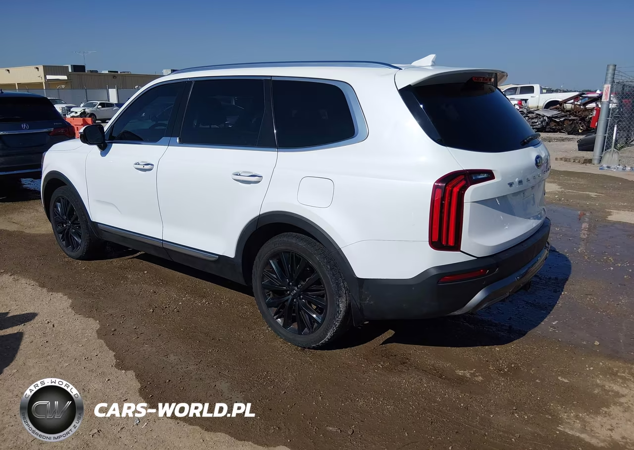 2020 Kia Telluride Sx VIN:5XYP54HC5LG041454 - 3