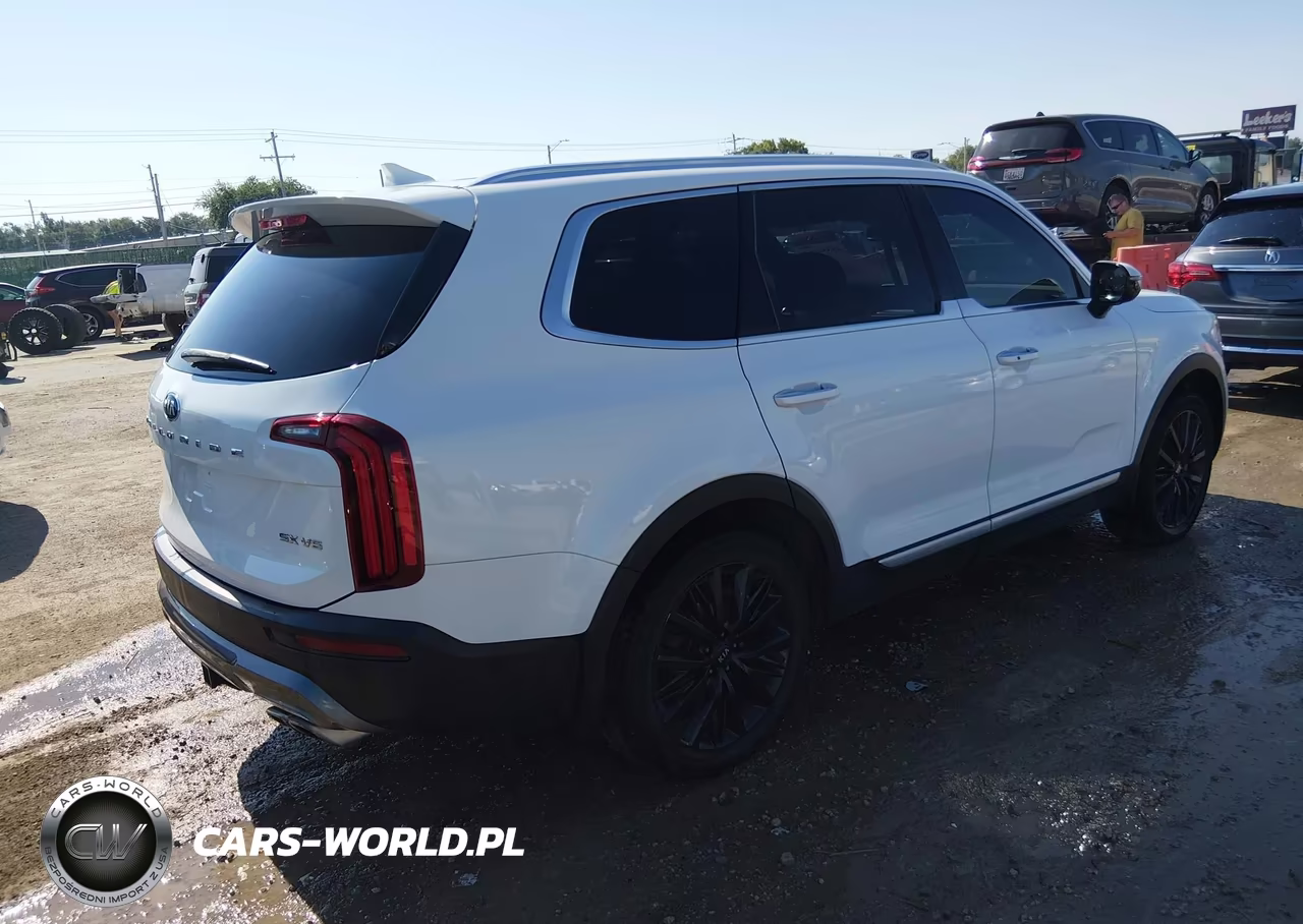 2020 Kia Telluride Sx VIN:5XYP54HC5LG041454 - 4