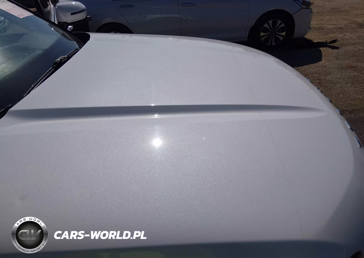 2020 Kia Telluride Sx VIN:5XYP54HC5LG041454 - 6