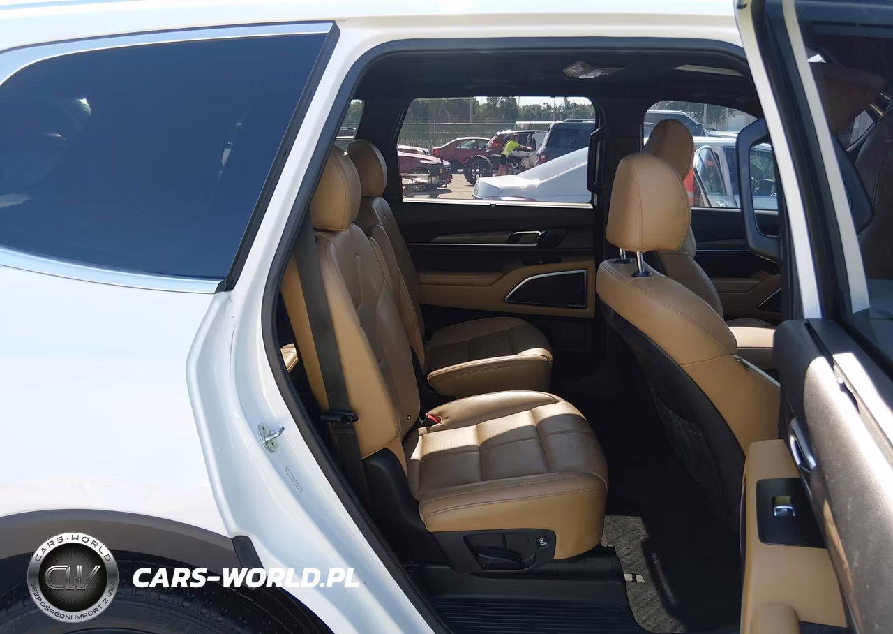 2020 Kia Telluride Sx VIN:5XYP54HC5LG041454 - 8