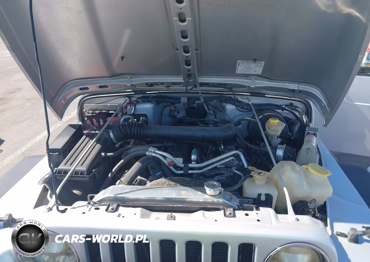 2005 Jeep Wrangler Rubicon VIN:1J4FA69S65P315831 - 10