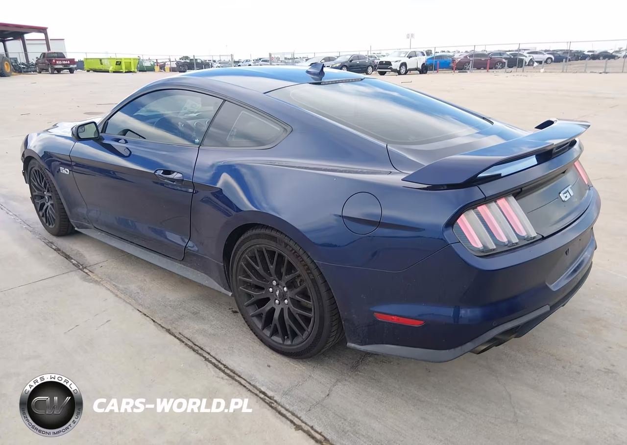 2020 Ford Mustang Gt Fastback VIN:1FA6P8CF9L5186316 - 3