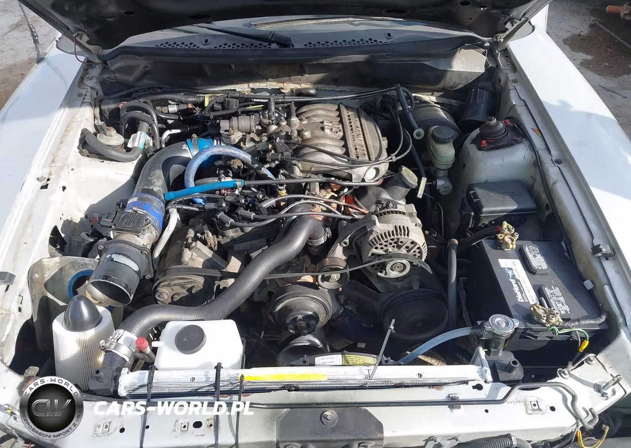 1998 Ford Mustang VIN:1FAFP4049WF192627 - 10