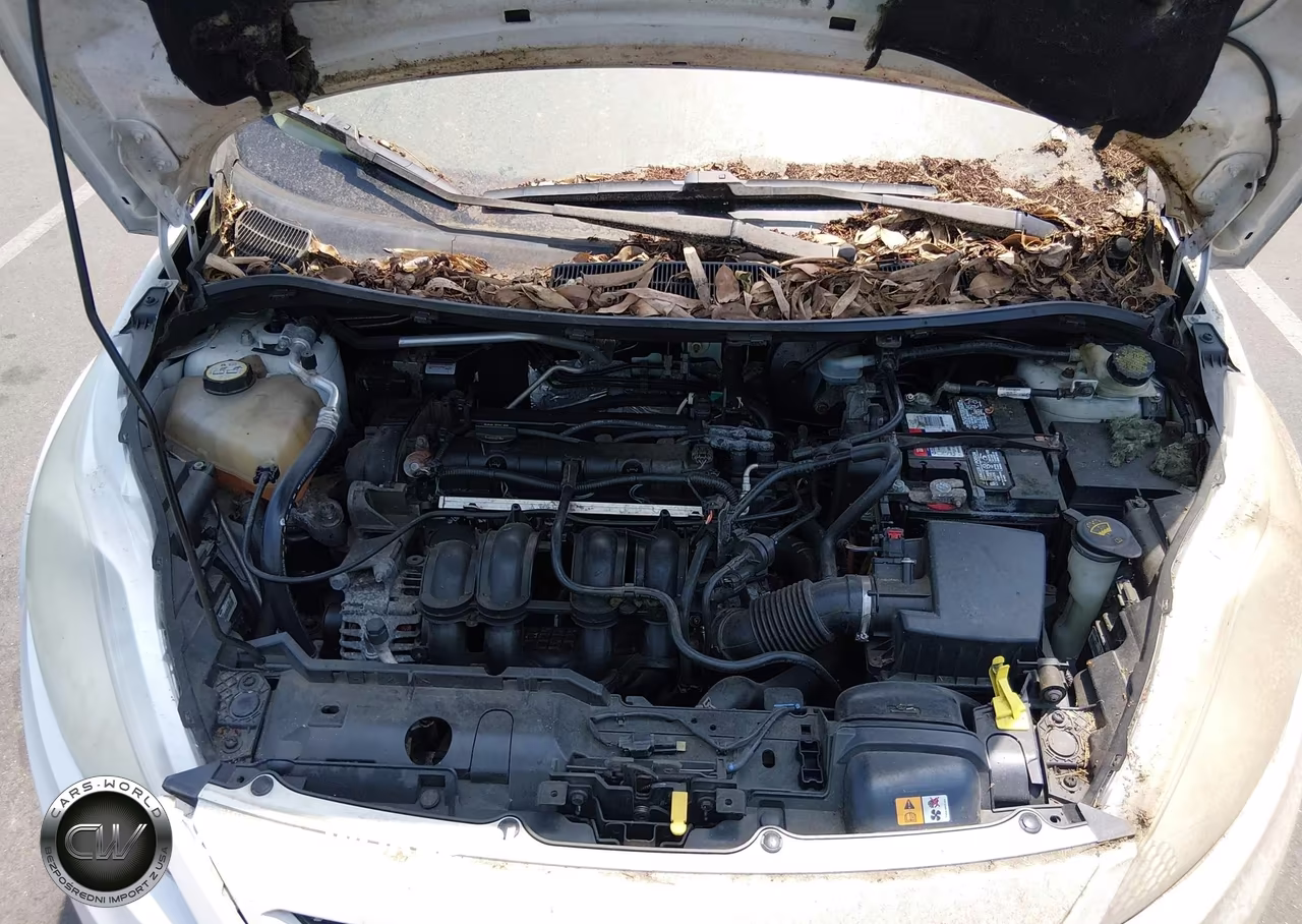 2013 Ford Fiesta Se VIN:3FADP4EJ7DM213171 - 10