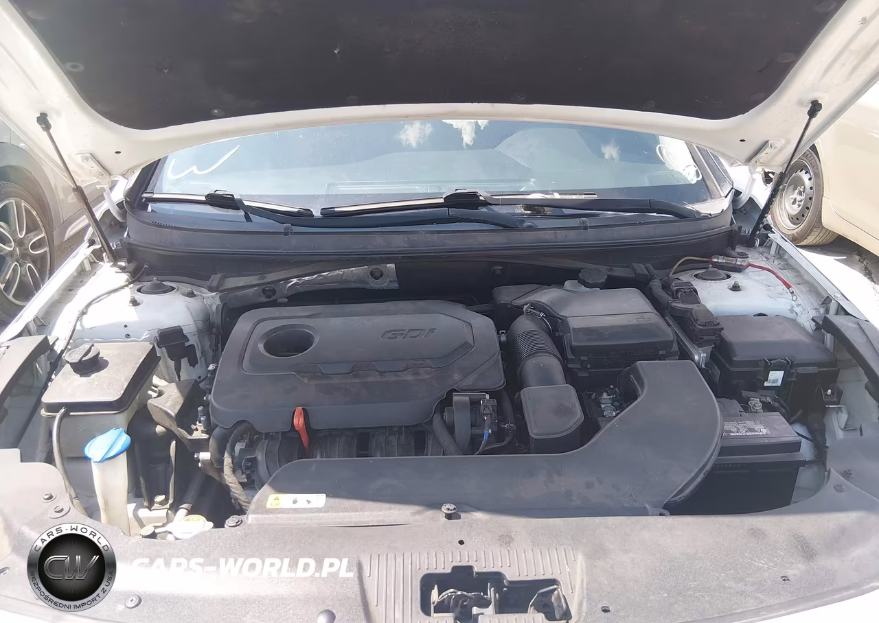 2016 Hyundai Sonata Sport VIN:5NPE34AF7GH422142 - 10