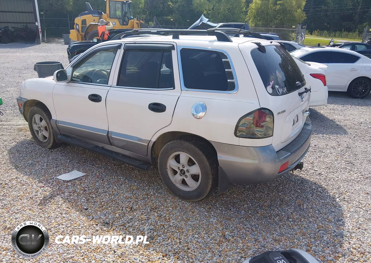 2005 Hyundai Santa Fe Gls-Lx VIN:KM8SC73E95U869613 - 3