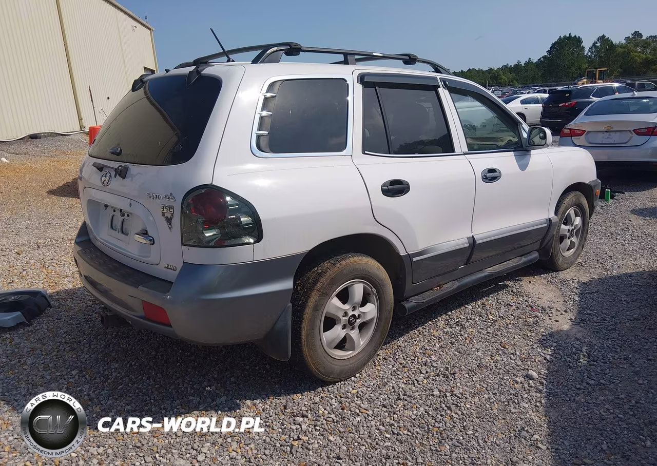 2005 Hyundai Santa Fe Gls-Lx VIN:KM8SC73E95U869613 - 4