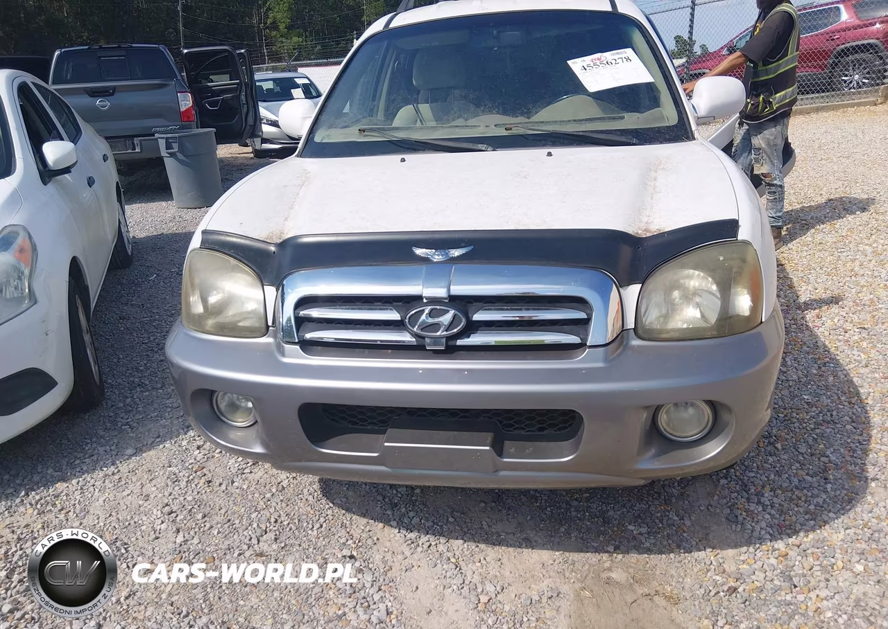 2005 Hyundai Santa Fe Gls-Lx VIN:KM8SC73E95U869613 - 6
