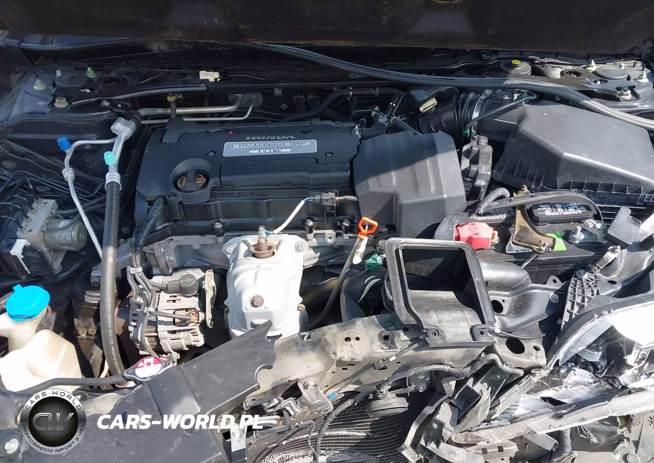 2013 Honda Accord Ex-L VIN:1HGCT1B86DA011745 - 10