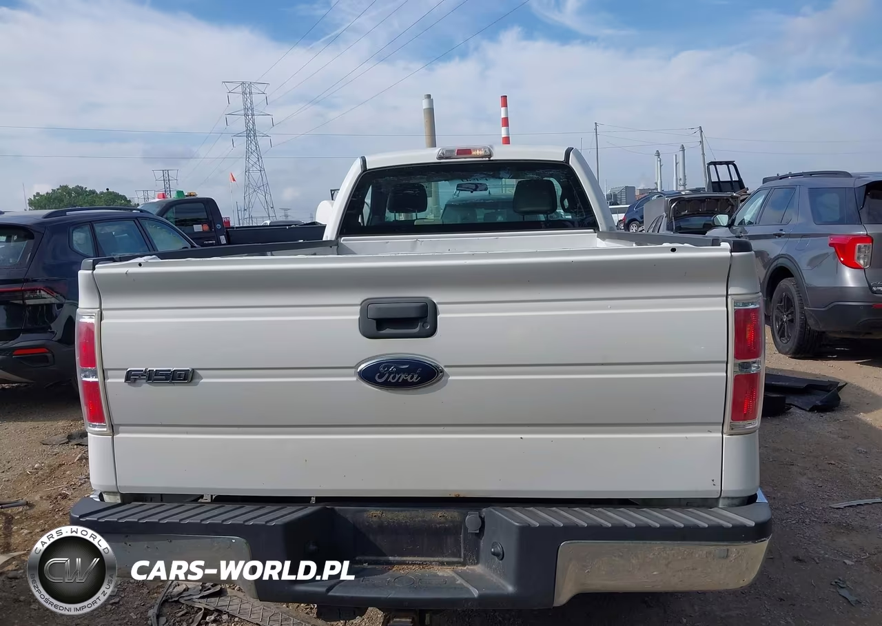 2010 Ford F-150 Stx-Xl-Xl W-Mid-Box Prep-Xlt-Xlt W-Mid-Box Prep VIN:1FTMF1CW1AKC11123 - 16