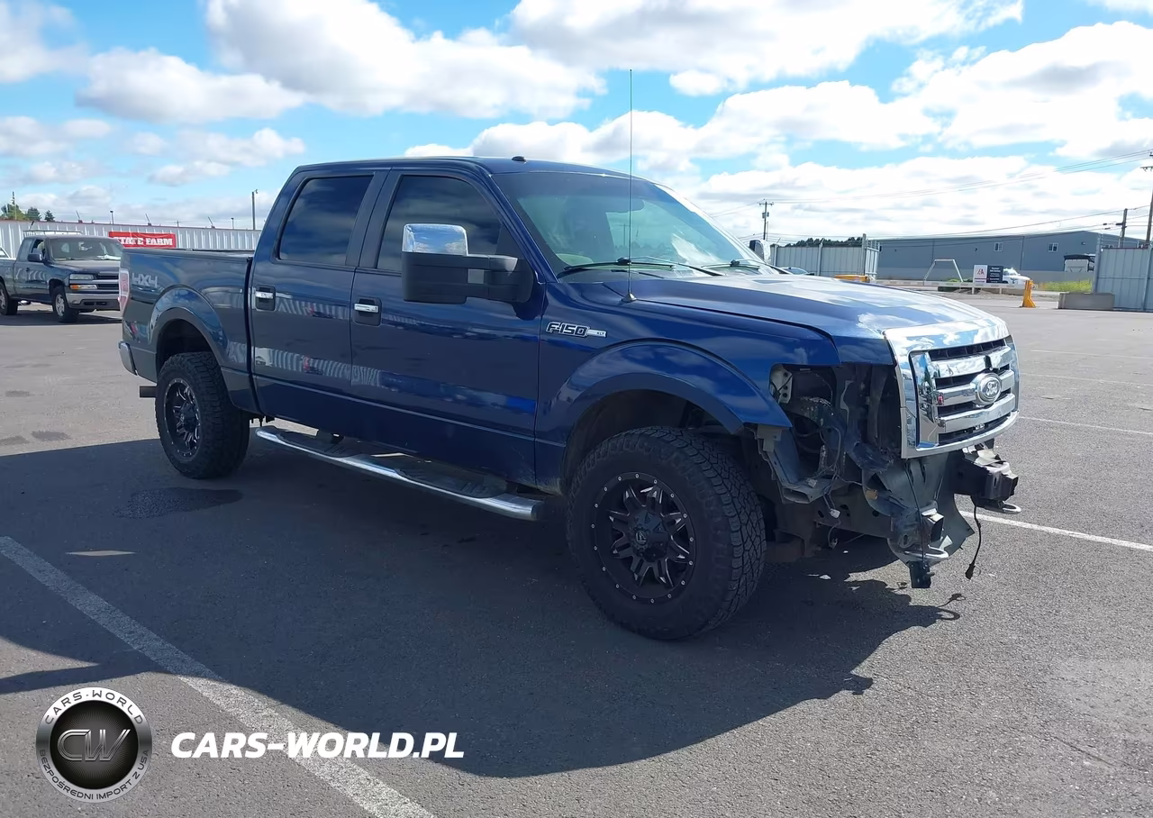 2009 Ford F-150 Fx4-King Ranch-Lariat-Platinum-Xl-Xlt – zdjęcie 1 z 18