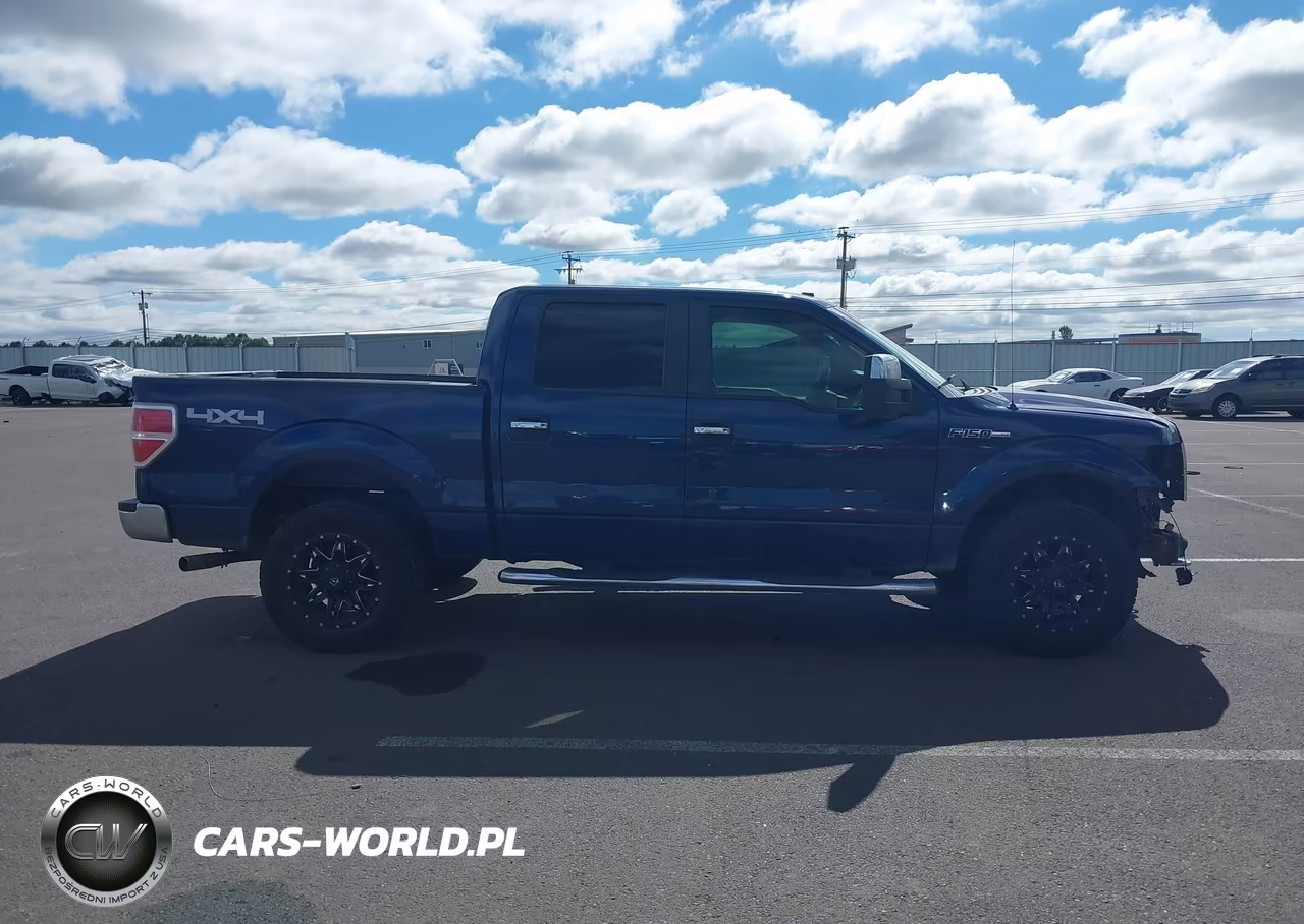 2009 Ford F-150 Fx4-King Ranch-Lariat-Platinum-Xl-Xlt VIN:1FTPW14V59KA30878 - 14