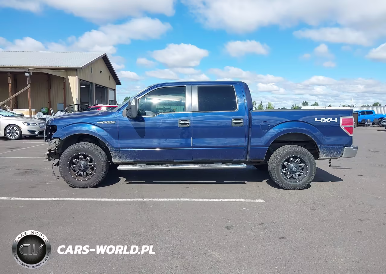 2009 Ford F-150 Fx4-King Ranch-Lariat-Platinum-Xl-Xlt VIN:1FTPW14V59KA30878 - 15