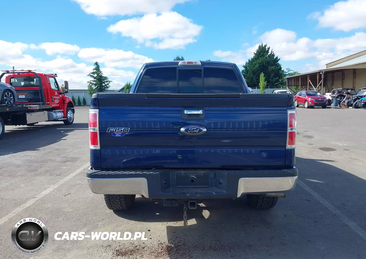 2009 Ford F-150 Fx4-King Ranch-Lariat-Platinum-Xl-Xlt VIN:1FTPW14V59KA30878 - 17
