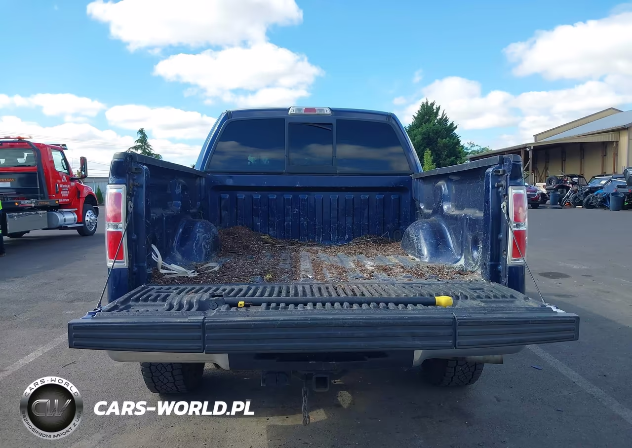 2009 Ford F-150 Fx4-King Ranch-Lariat-Platinum-Xl-Xlt VIN:1FTPW14V59KA30878 - 18