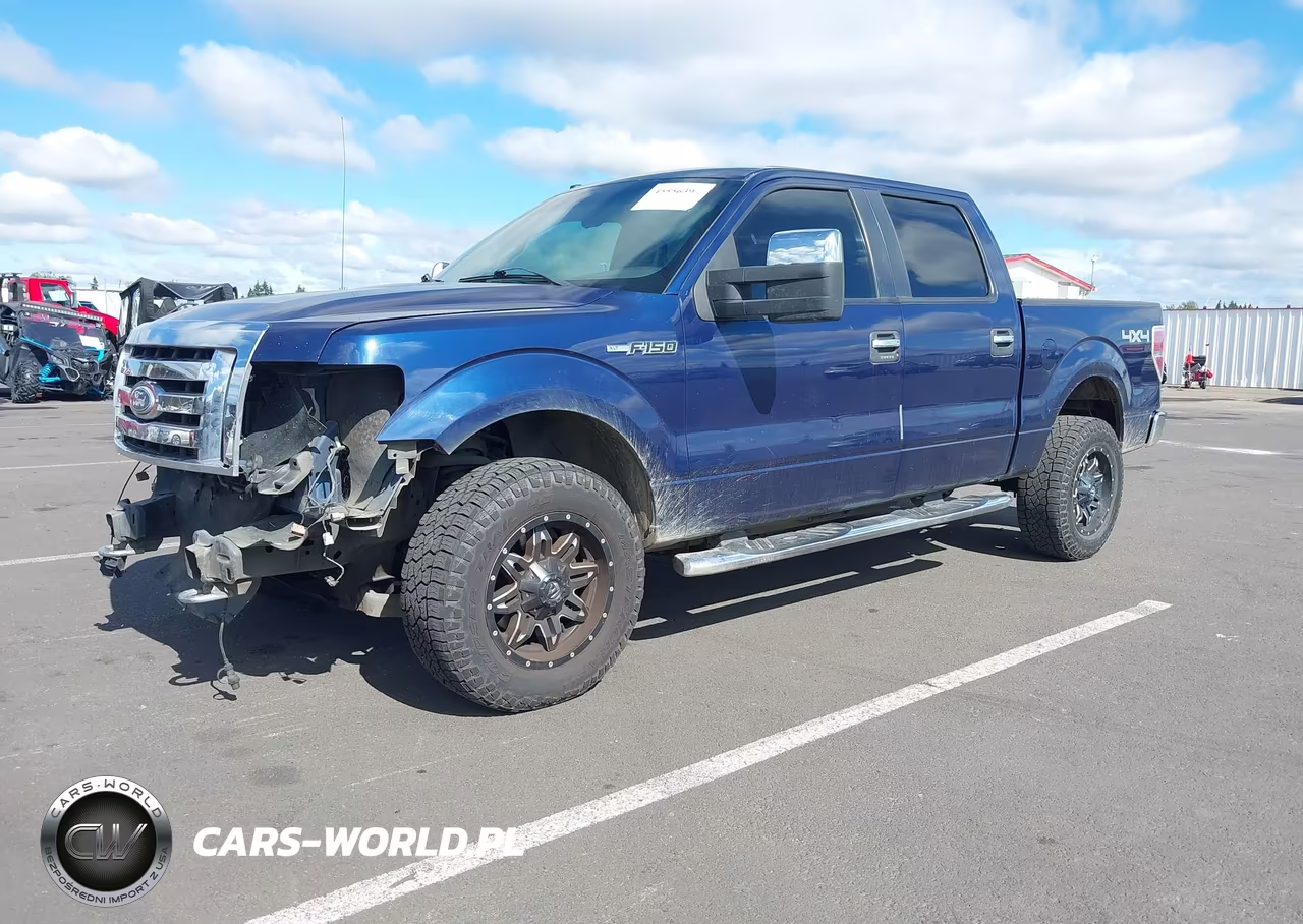 2009 Ford F-150 Fx4-King Ranch-Lariat-Platinum-Xl-Xlt VIN:1FTPW14V59KA30878 - 2