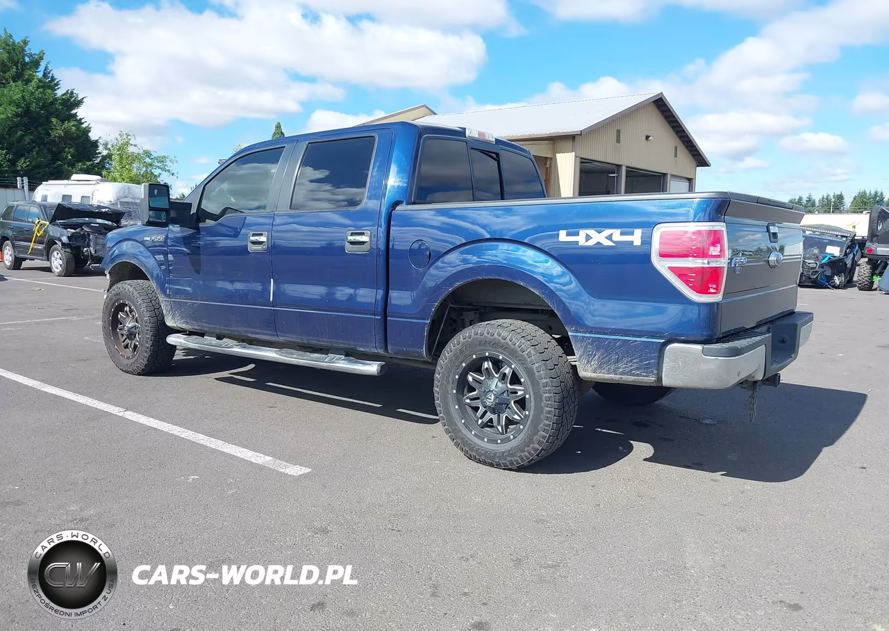 2009 Ford F-150 Fx4-King Ranch-Lariat-Platinum-Xl-Xlt VIN:1FTPW14V59KA30878 - 3