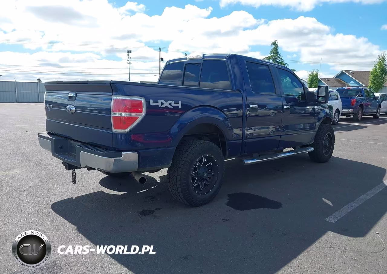 2009 Ford F-150 Fx4-King Ranch-Lariat-Platinum-Xl-Xlt VIN:1FTPW14V59KA30878 - 4