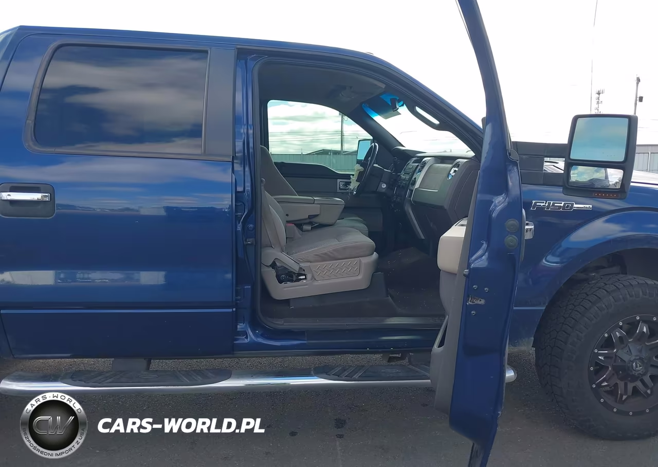 2009 Ford F-150 Fx4-King Ranch-Lariat-Platinum-Xl-Xlt VIN:1FTPW14V59KA30878 - 5