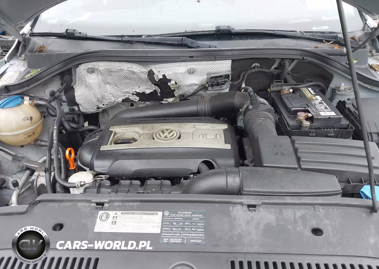 2009 Volkswagen Tiguan S VIN:WVGAV75N19W527280 - 10