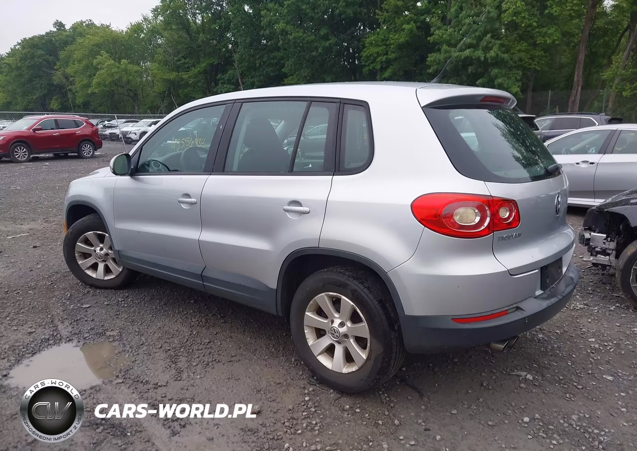2009 Volkswagen Tiguan S VIN:WVGAV75N19W527280 - 3