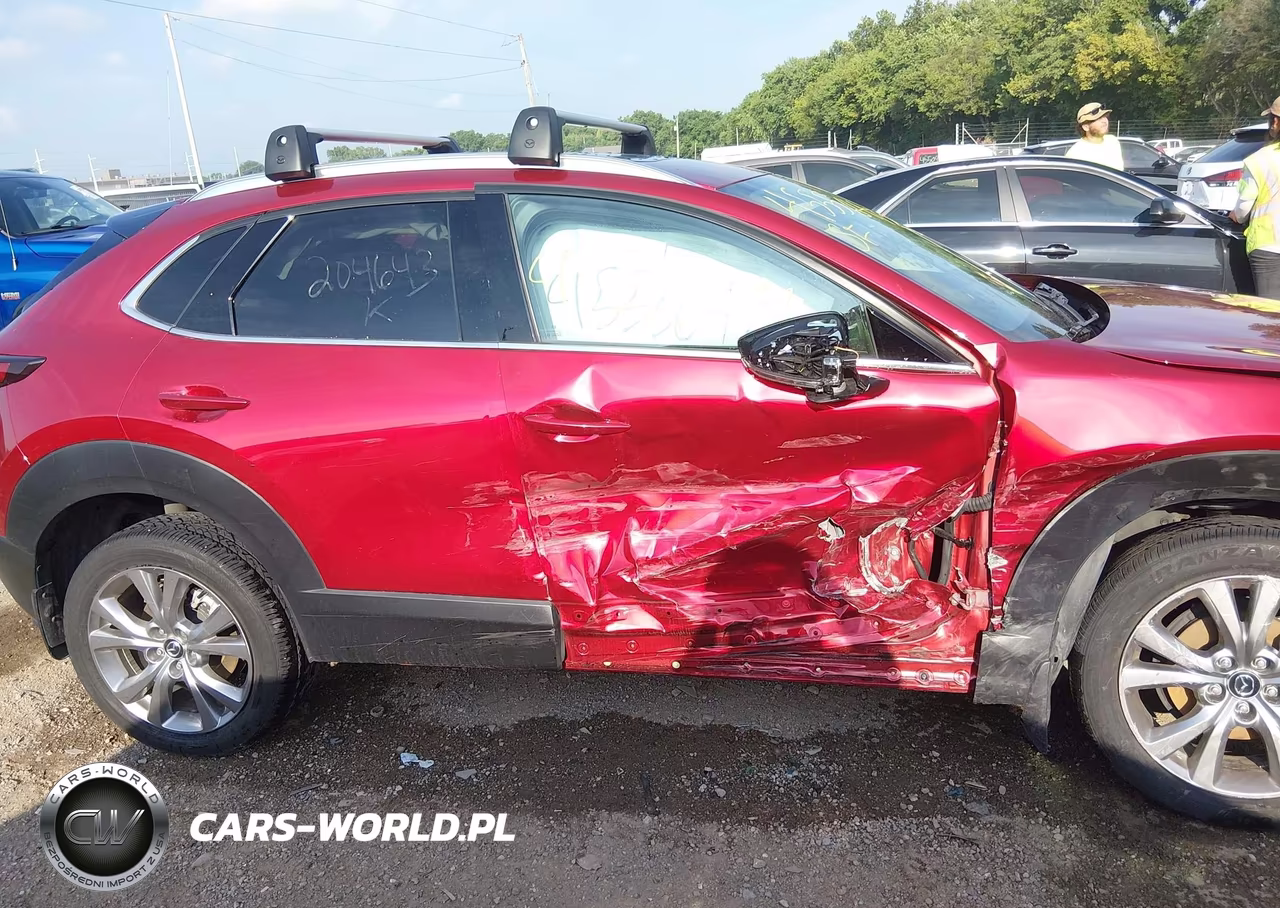 2021 Mazda Cx-30 Premium VIN:3MVDMBDL9MM204643 - 13