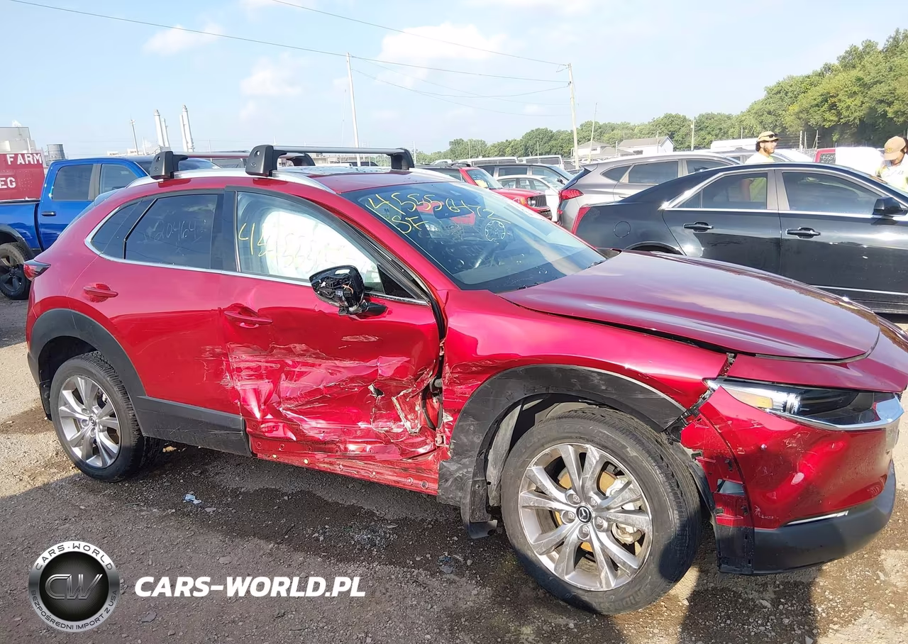 2021 Mazda Cx-30 Premium VIN:3MVDMBDL9MM204643 - 6