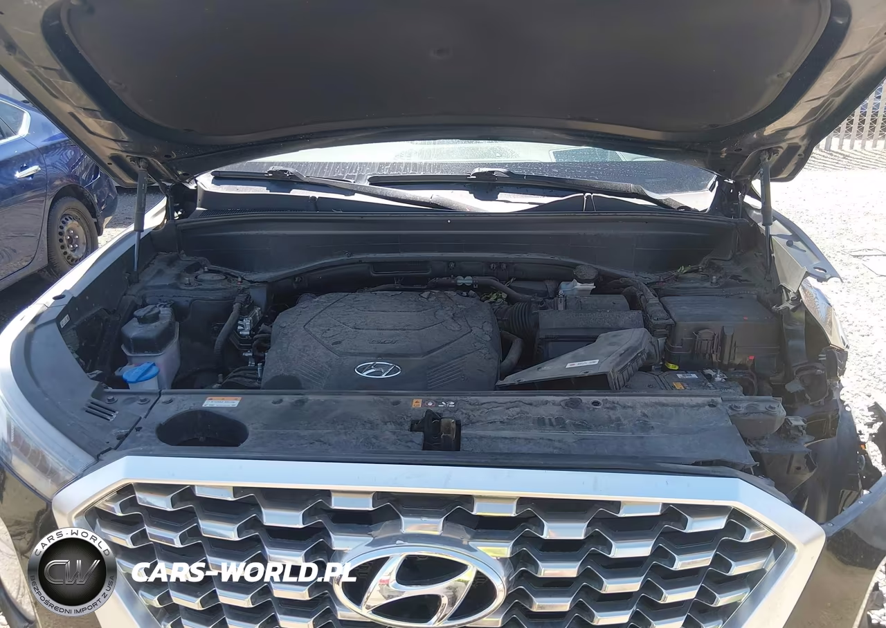 2021 Hyundai Palisade Limited VIN:KM8R5DHE7MU222111 - 10