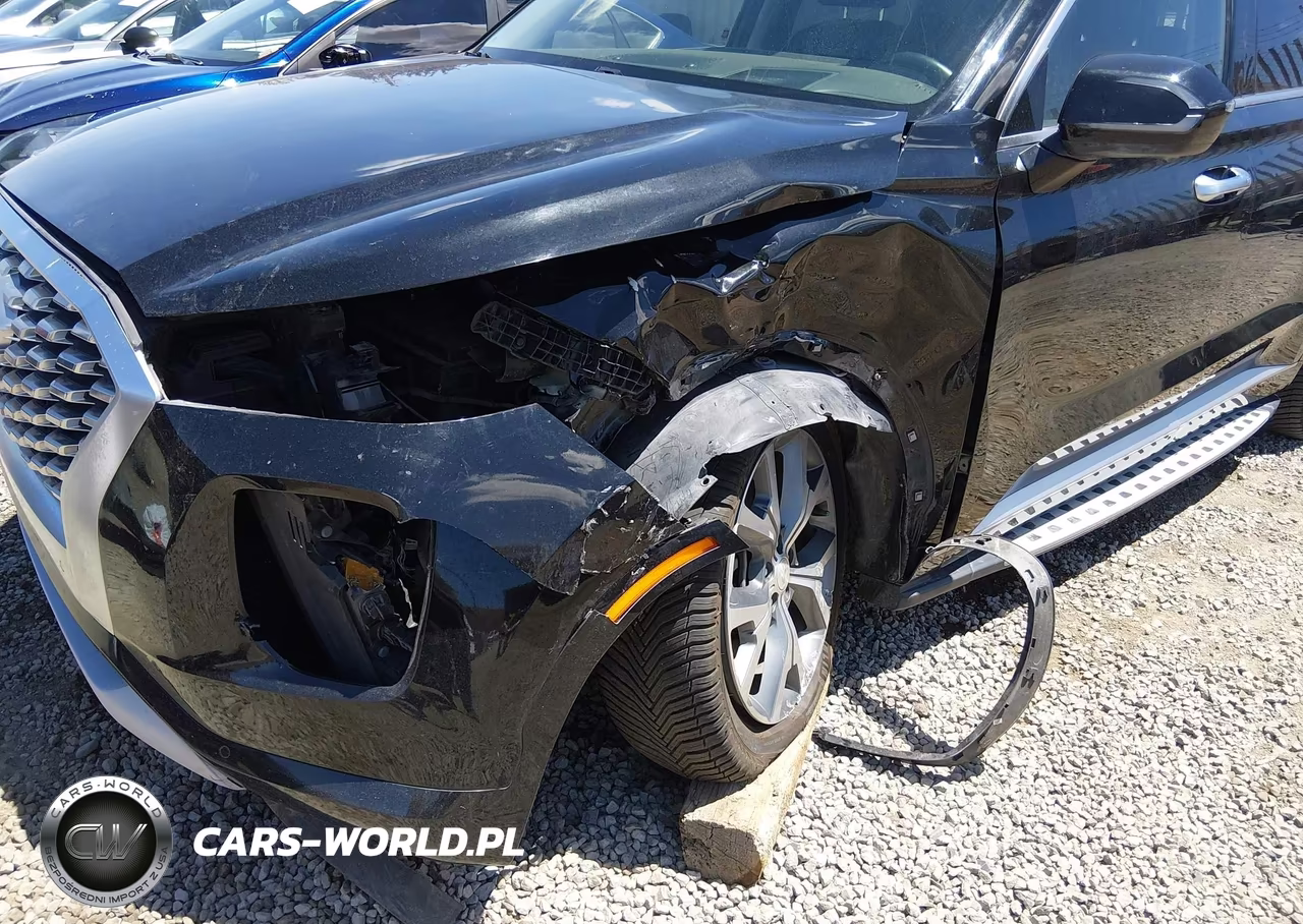 2021 Hyundai Palisade Limited VIN:KM8R5DHE7MU222111 - 6