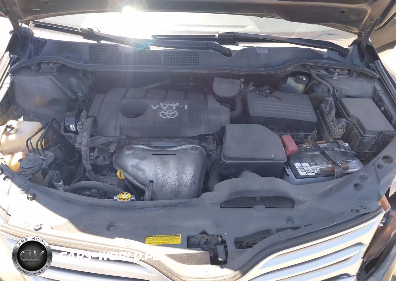 2009 Toyota Venza VIN:4T3ZE11A39U011038 - 10