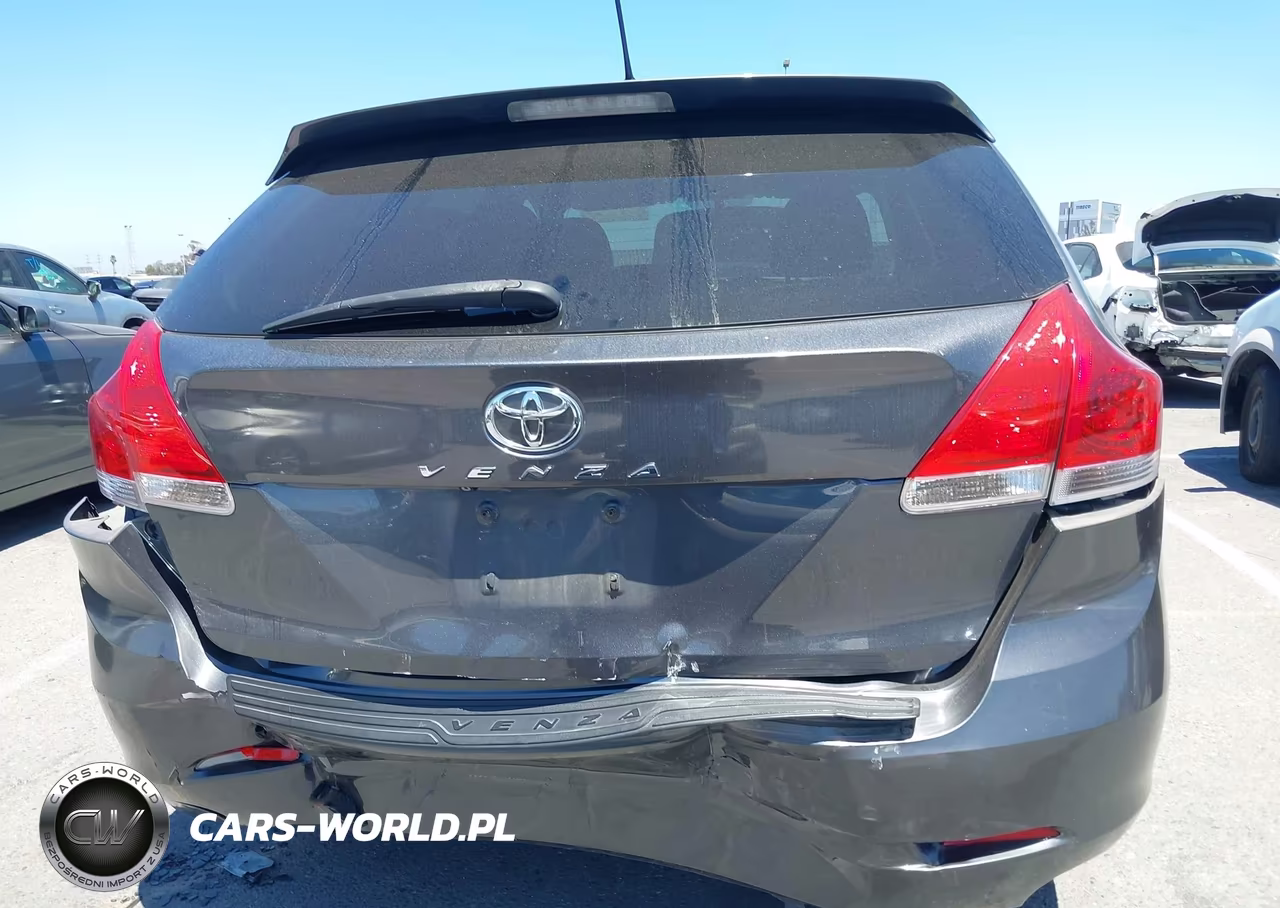 2009 Toyota Venza VIN:4T3ZE11A39U011038 - 16