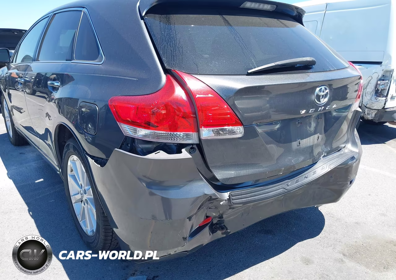 2009 Toyota Venza VIN:4T3ZE11A39U011038 - 17