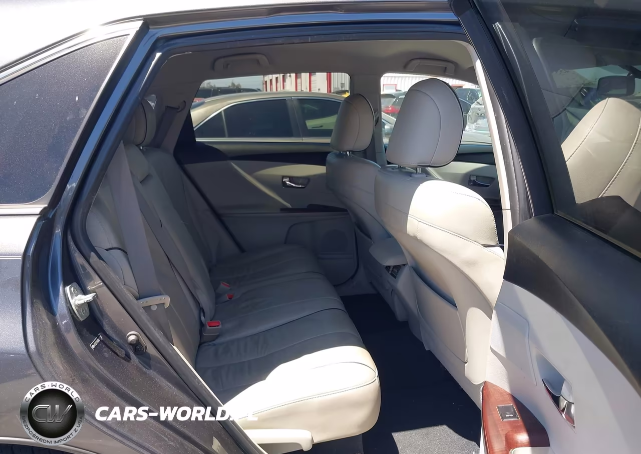 2009 Toyota Venza VIN:4T3ZE11A39U011038 - 8