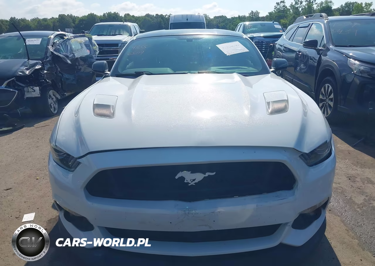 2016 Ford Mustang Gt-Gt Premium VIN:1FA6P8CF1G5229407 - 12