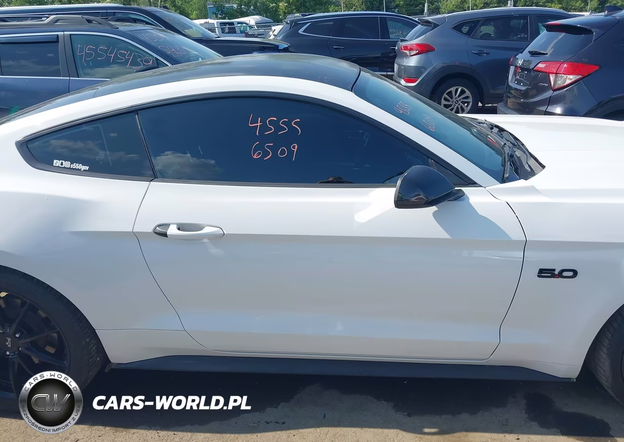 2016 Ford Mustang Gt-Gt Premium VIN:1FA6P8CF1G5229407 - 13